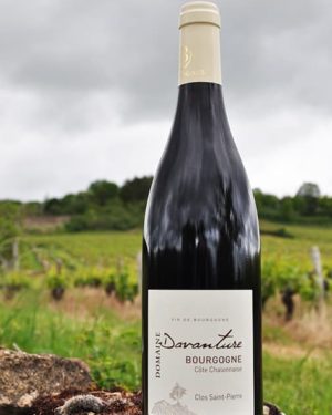 Davanture-cote-chalonnaise-rouge