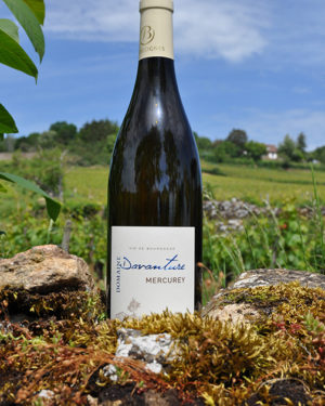 davanture-bourgogne-mercurey-blanc